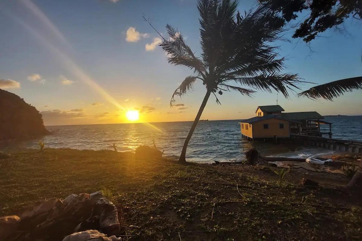 Guanaja Backpackers Hostel Экстерьер фото