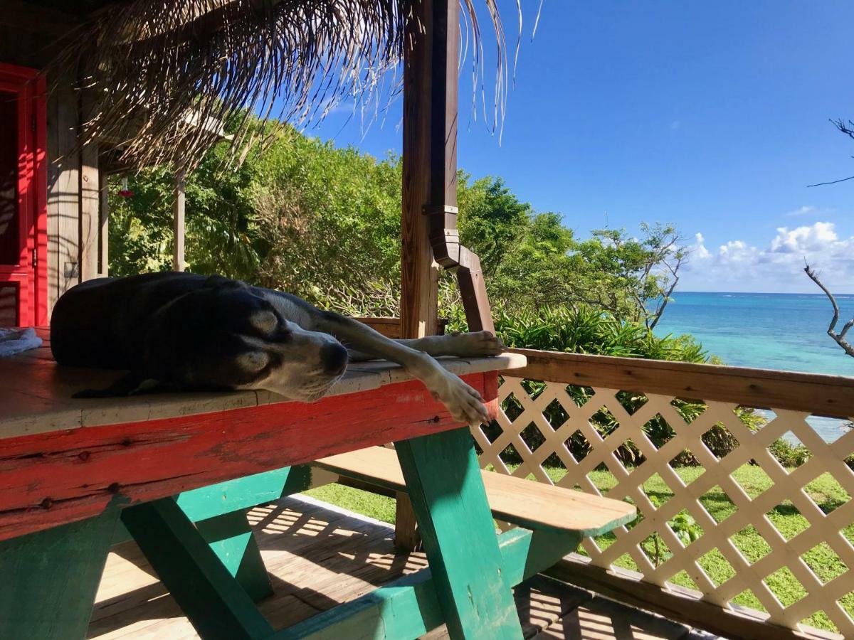 Guanaja Backpackers Hostel Экстерьер фото